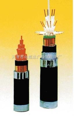 KVV、KVV22、KVV32控制電纜規(guī)格型號詳解與國家標(biāo)準(zhǔn)的遵循——以天津市電纜總廠橡塑電纜廠為例